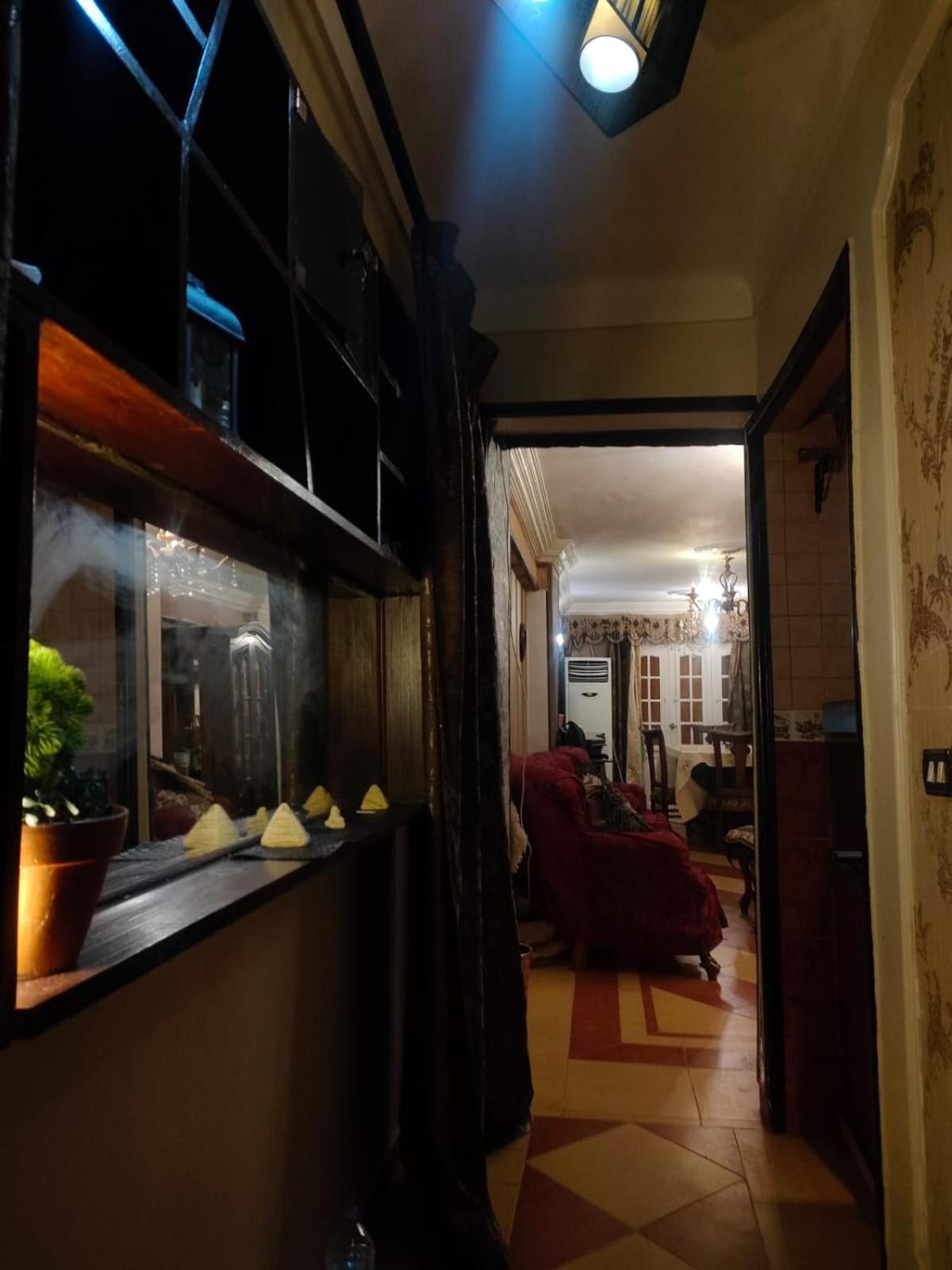 Appartement Special Alexandrie