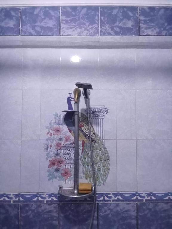 Special Appartement Alexandrie
